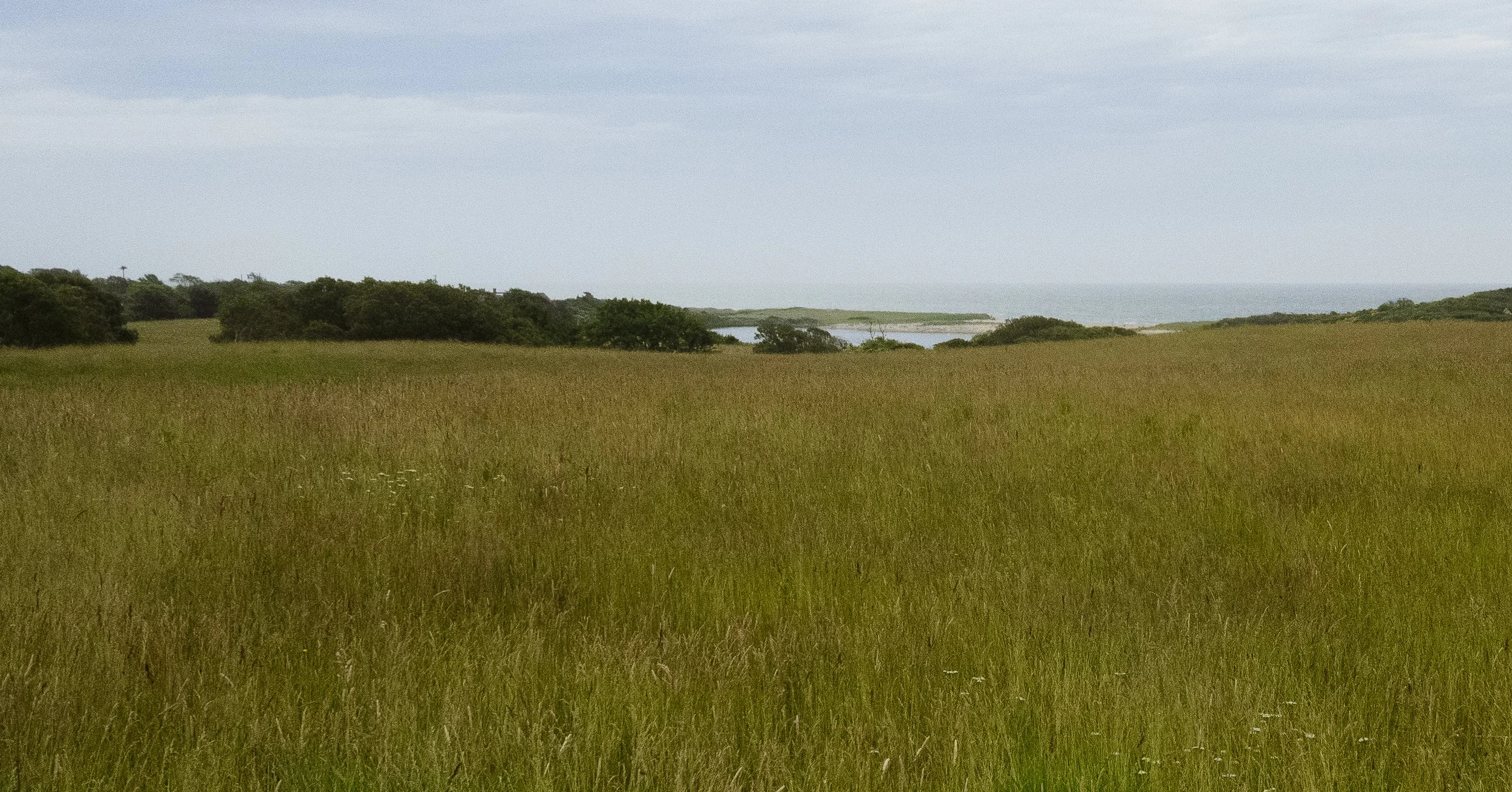 Martha's Vineyard, 2024.