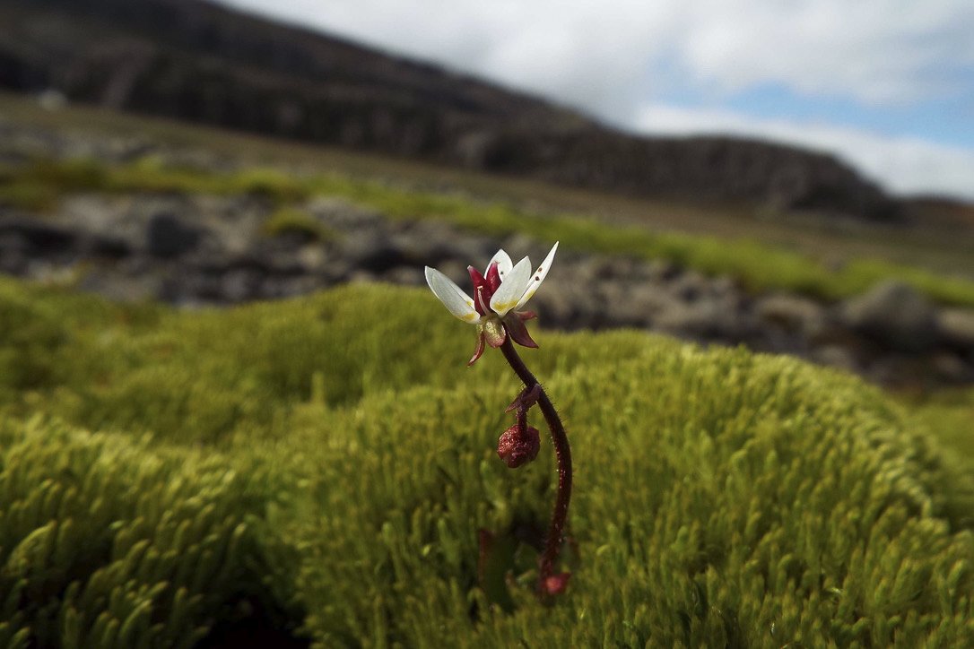 Iceland, 2019.