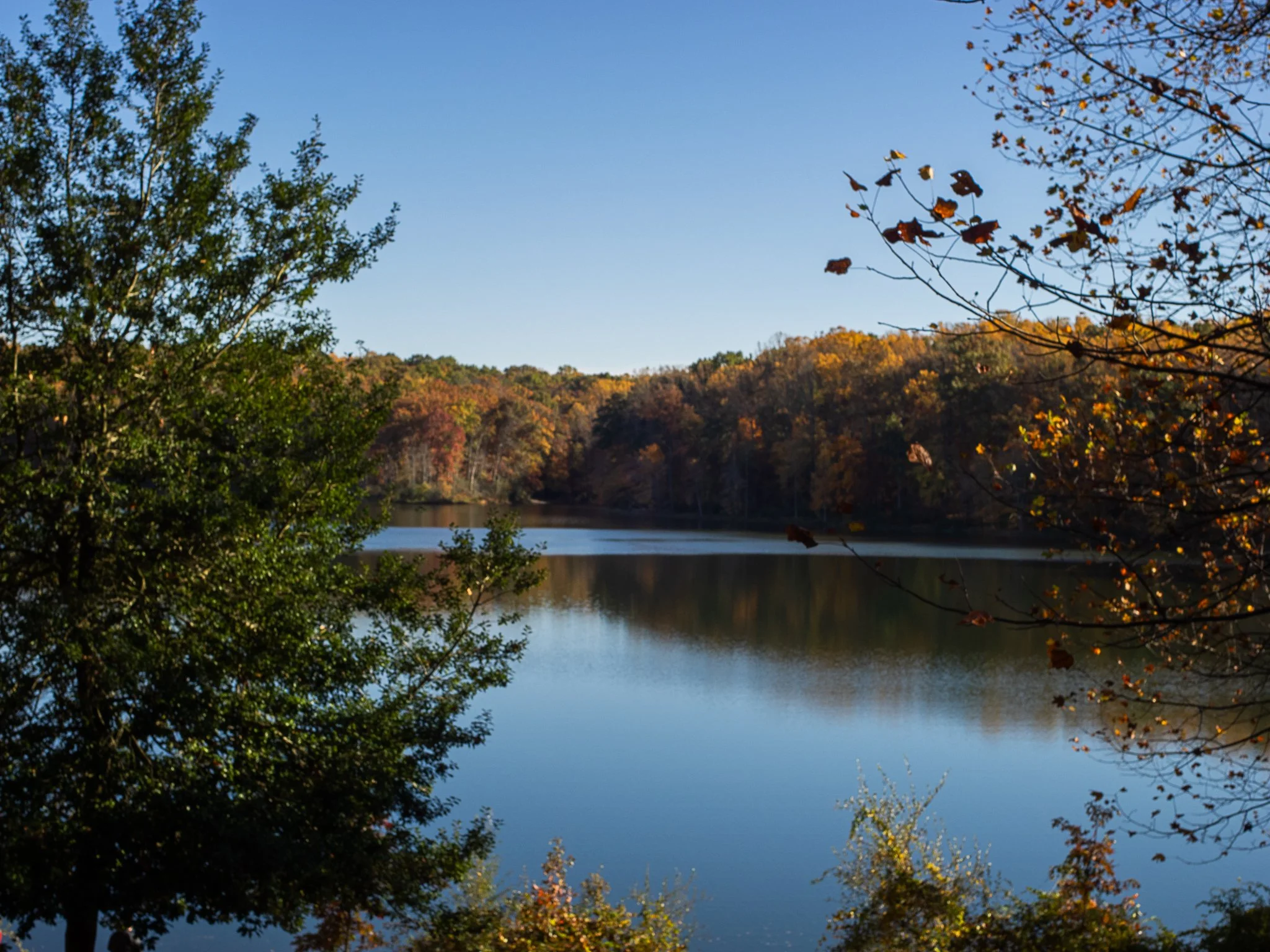 Little Seneca, Maryland 2024