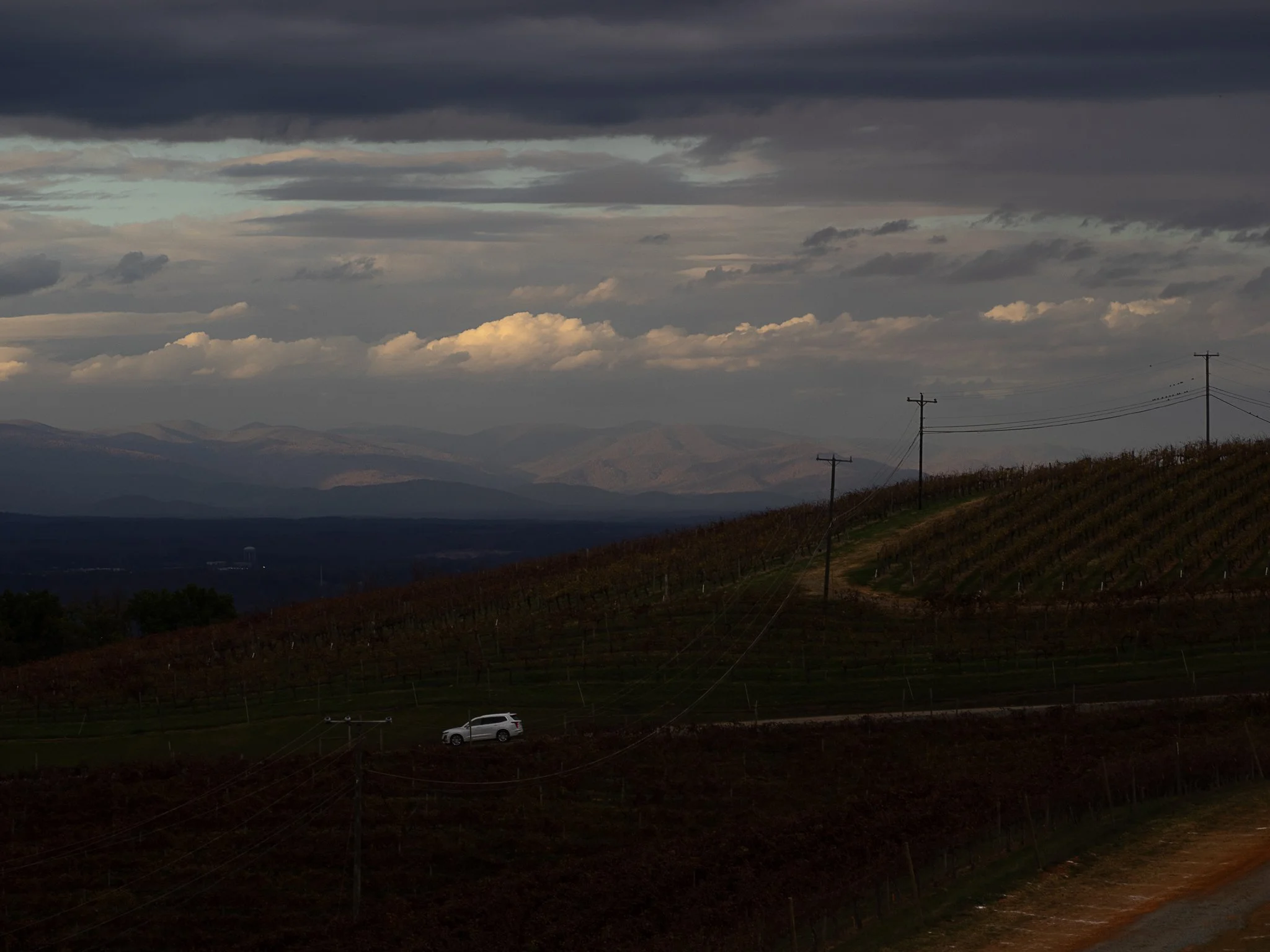 Carter's Mountain, Virginia 2024