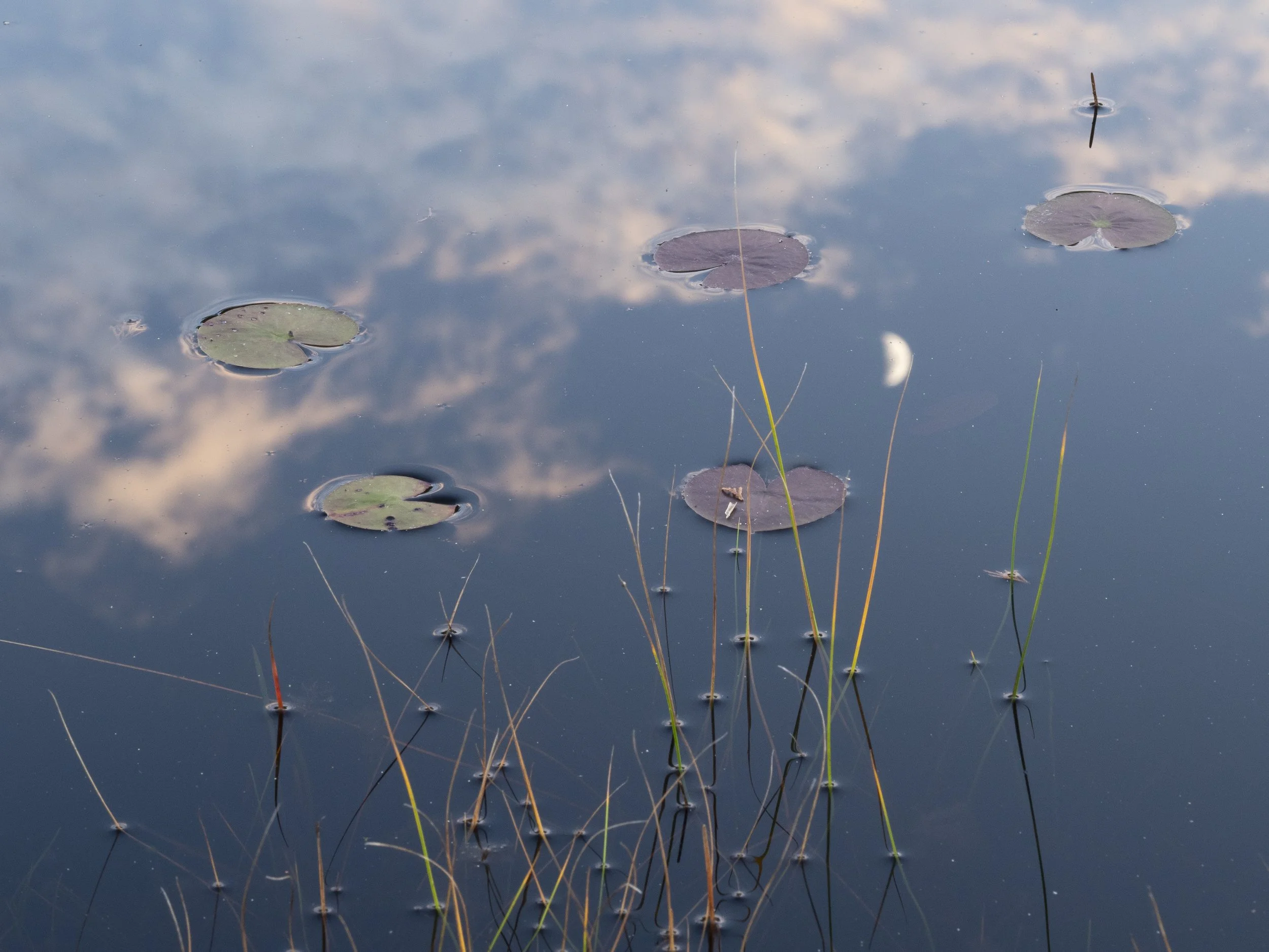 Reflection 1. 
