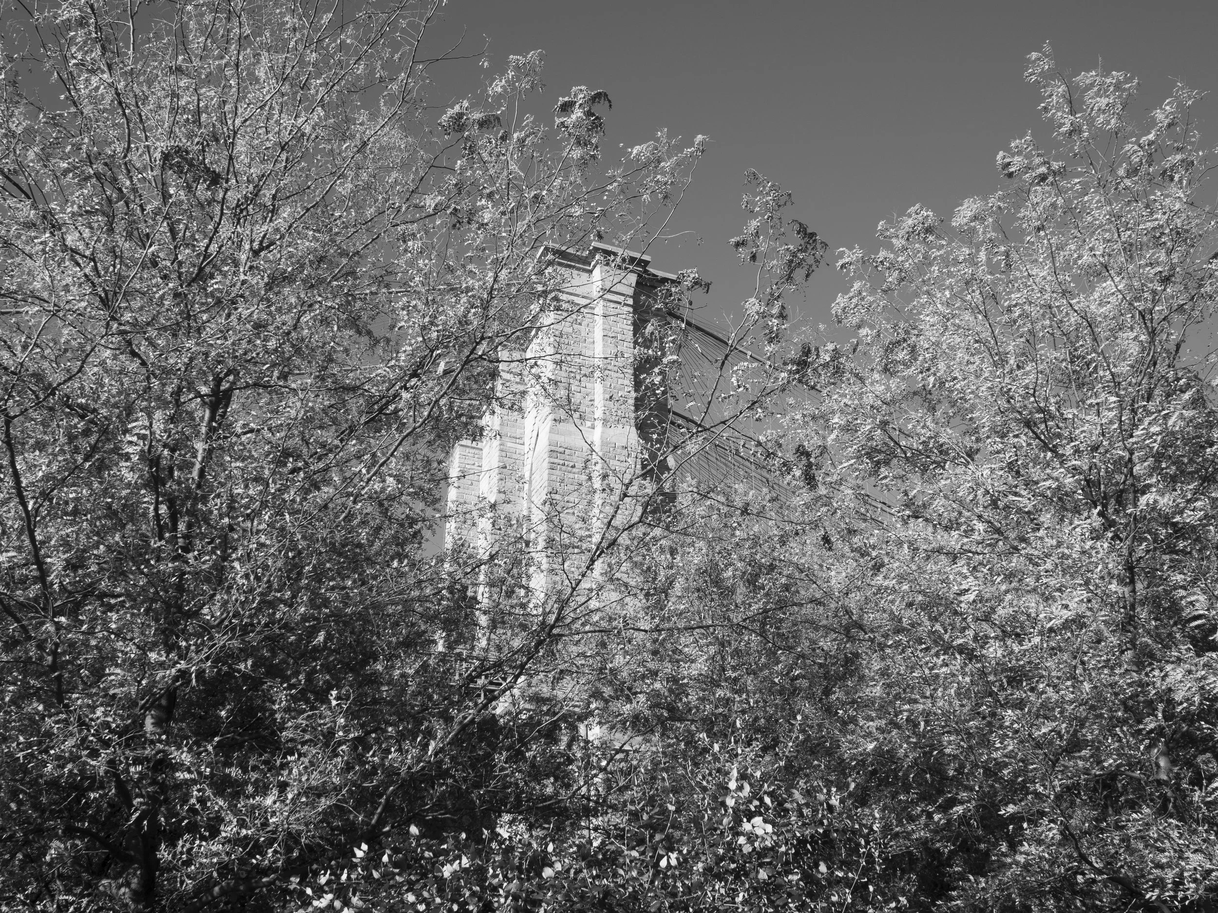 Brooklyn (10.3)-5.jpg