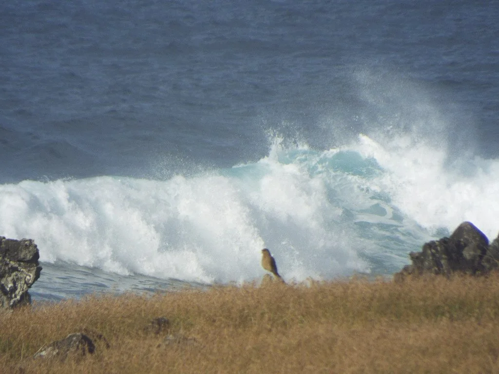 Easter Island-15.jpg