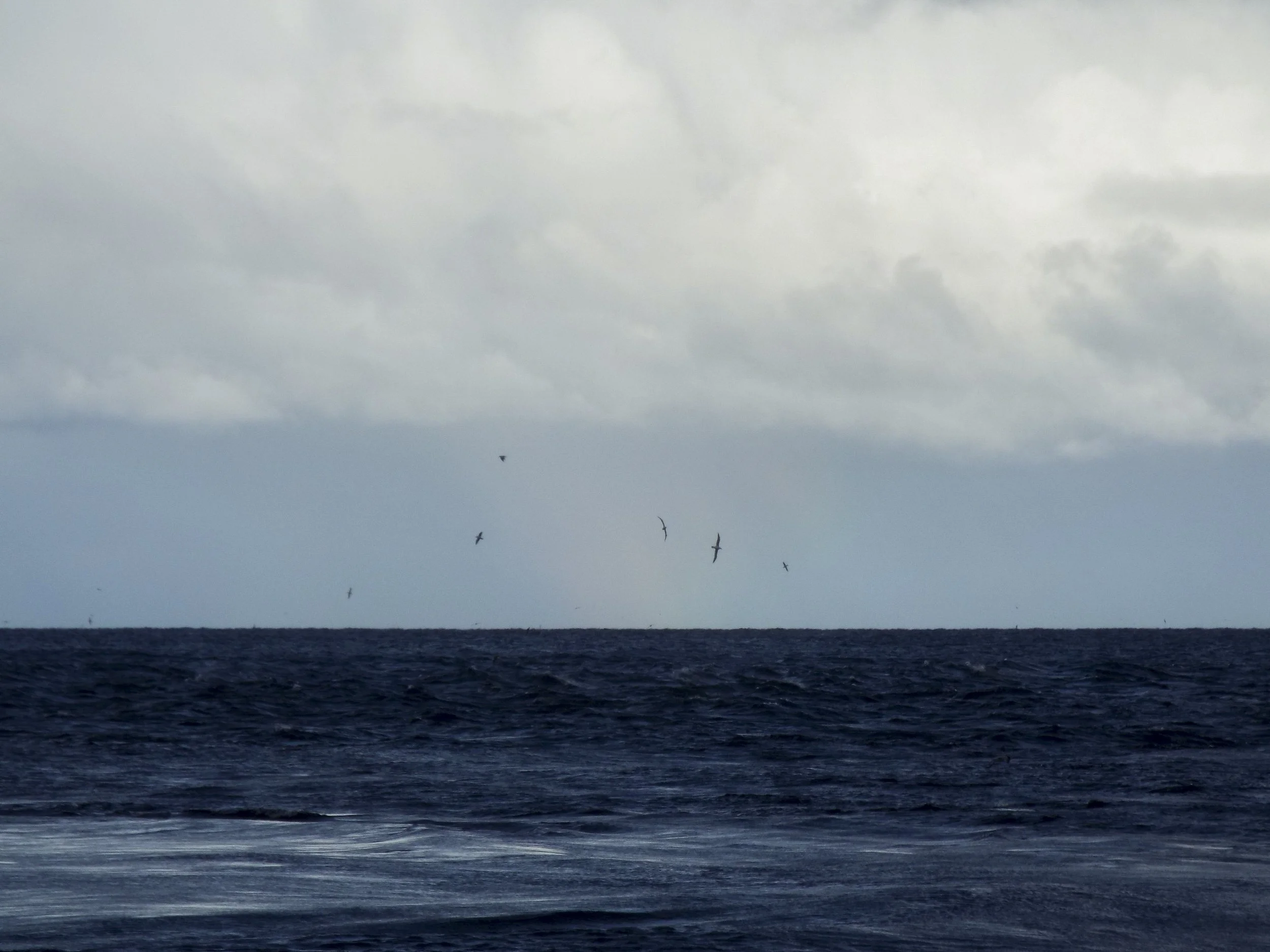 On the Ferry to Ancud, Chile. 2023