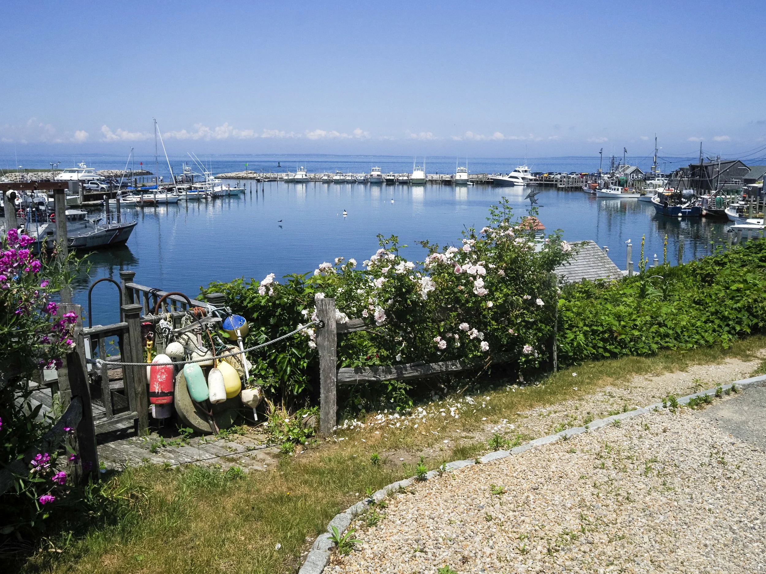 "Menemsha from Afar." Menemsha, 2026.
