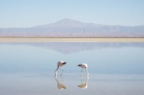 Atacama-7.jpg