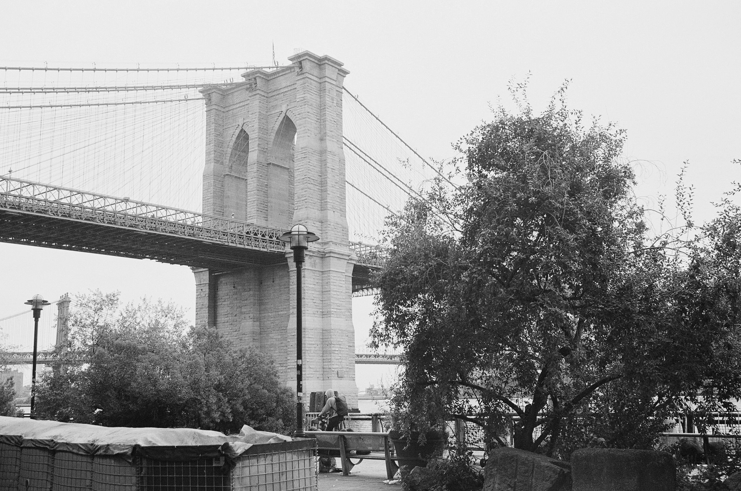 1NY-4.jpg