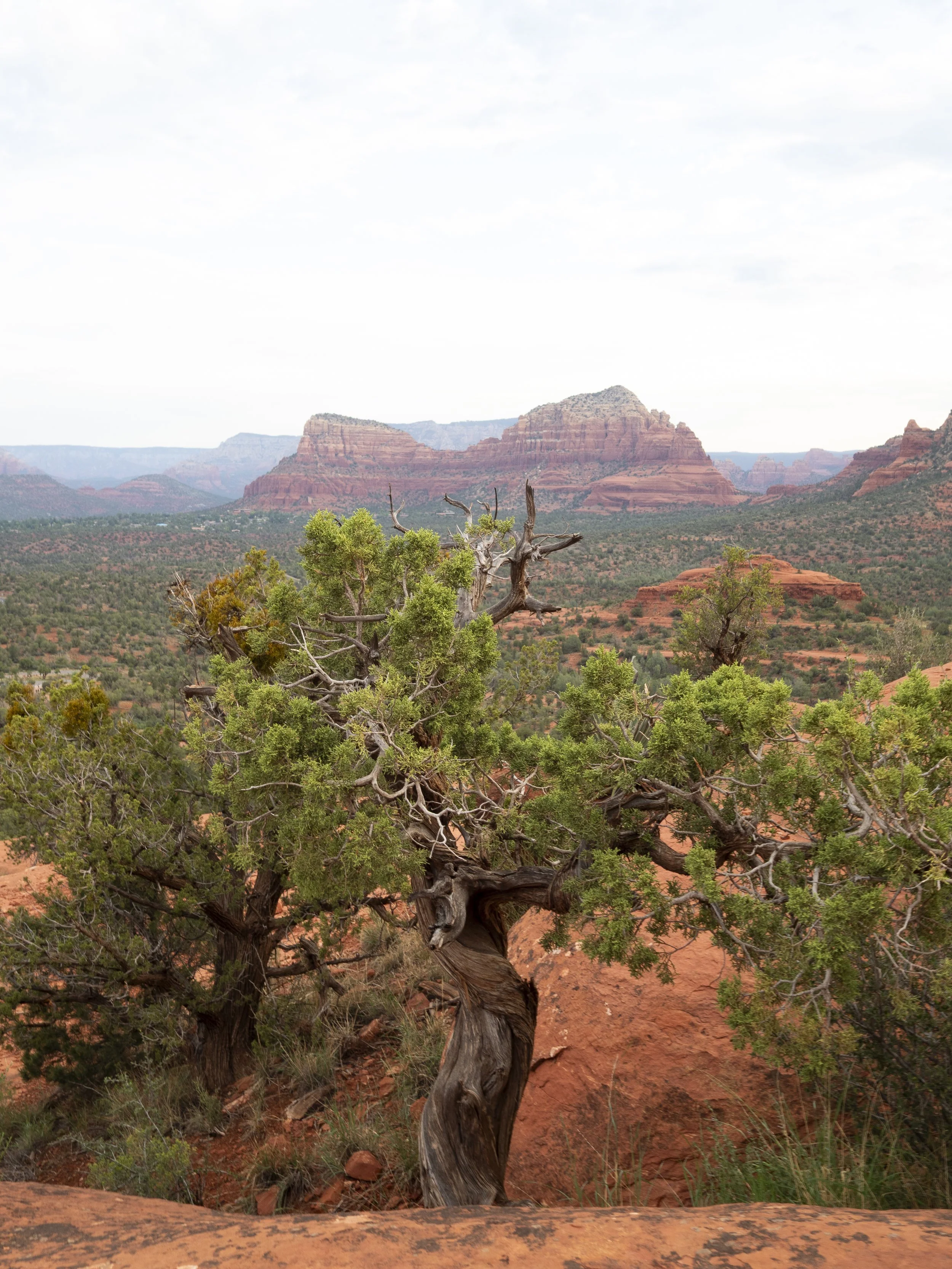 Sedona-3-2.jpg