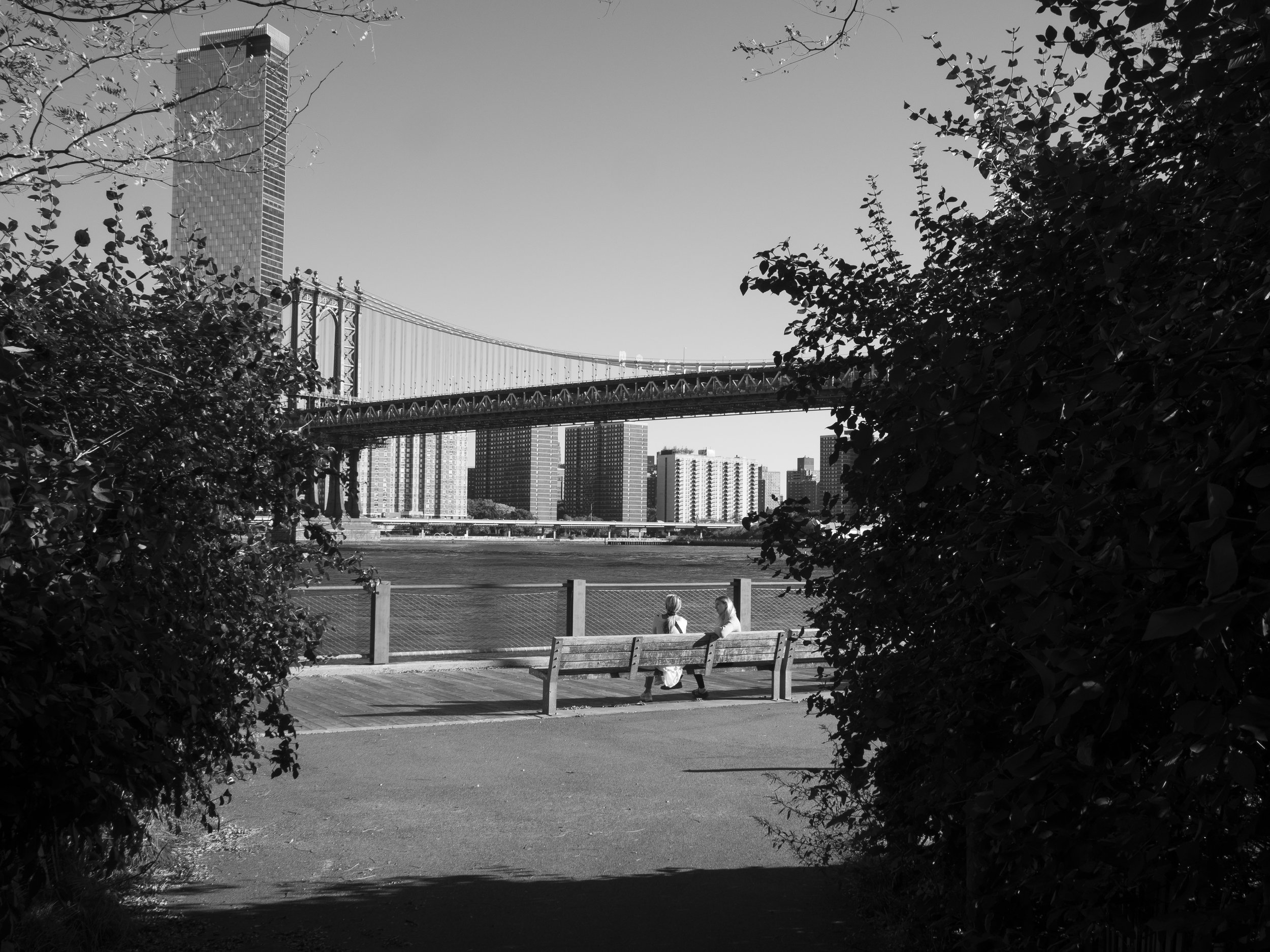 WEBSITE_ Brooklyn (10.3).jpg