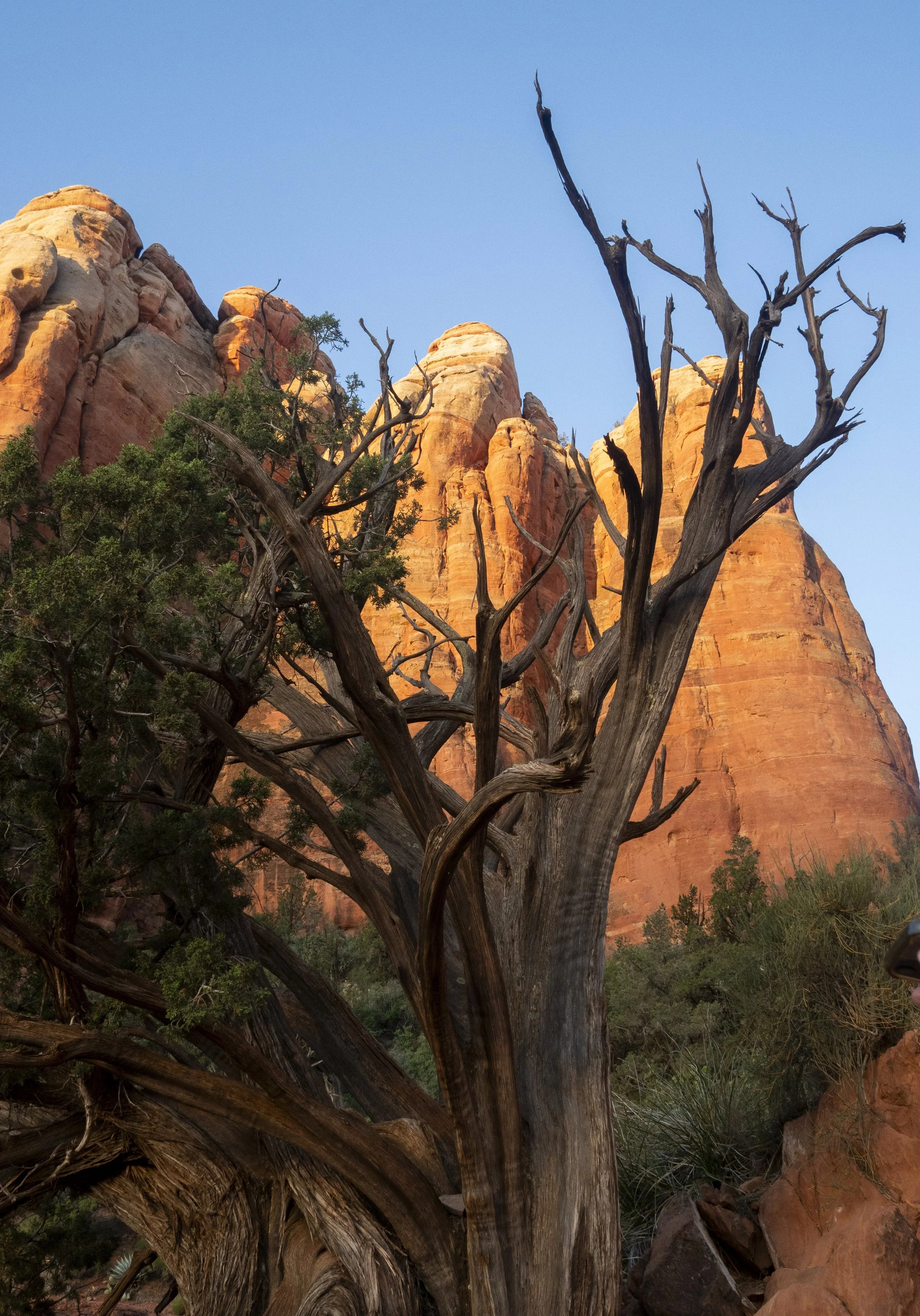 Sedona-4.jpg