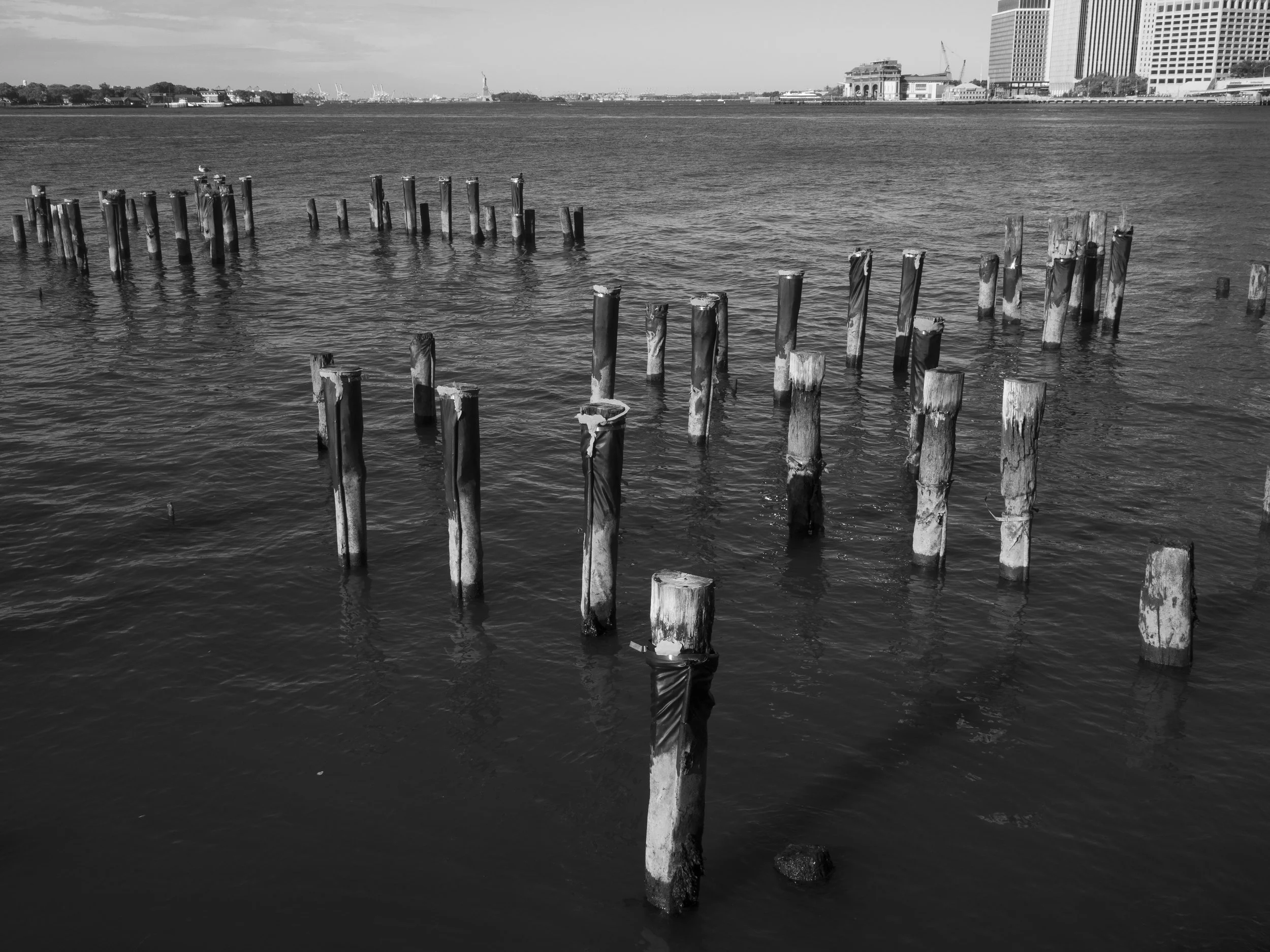 WEBSITE_ Brooklyn (10.3)-4.jpg