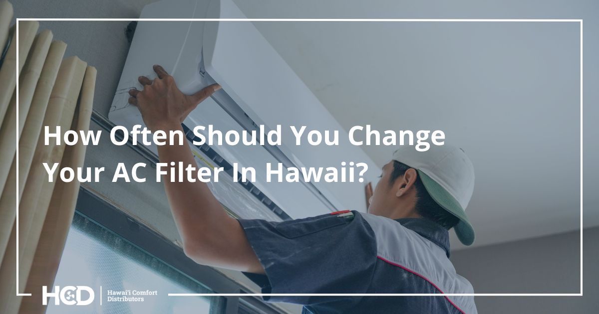 How Often Should I Change My Air Conditioning Filter in Hawaii?
