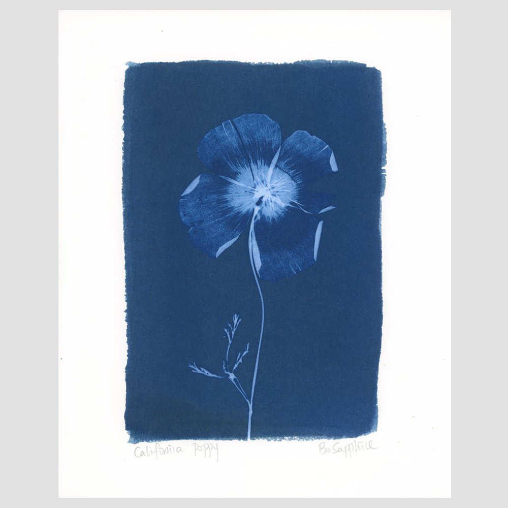 California Poppy Print