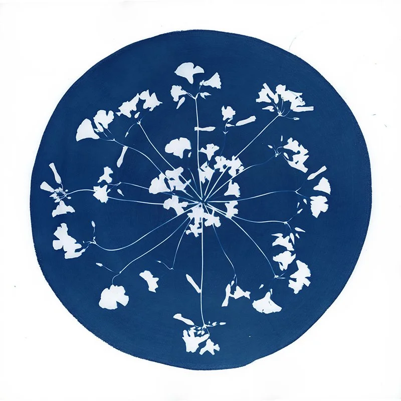 Joy final scan buttercups.jpg