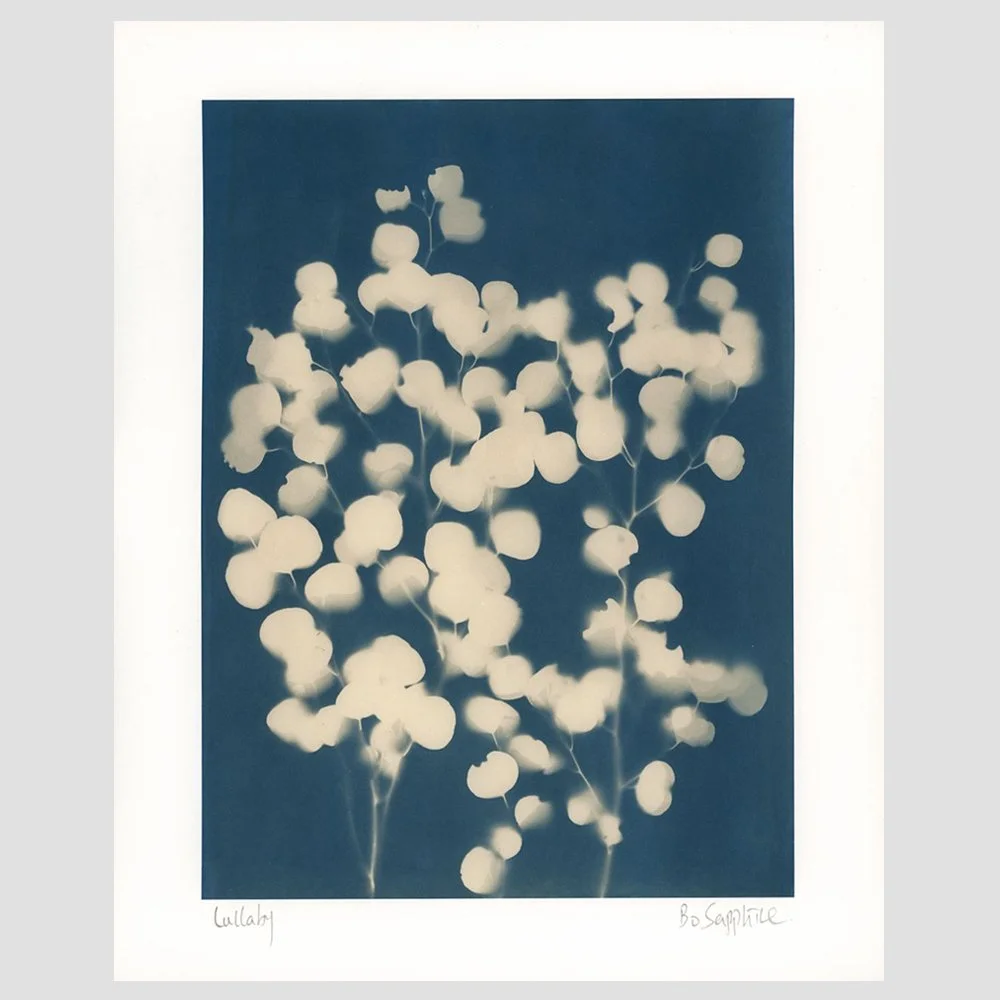 lullaby toned silverdollar.jpg