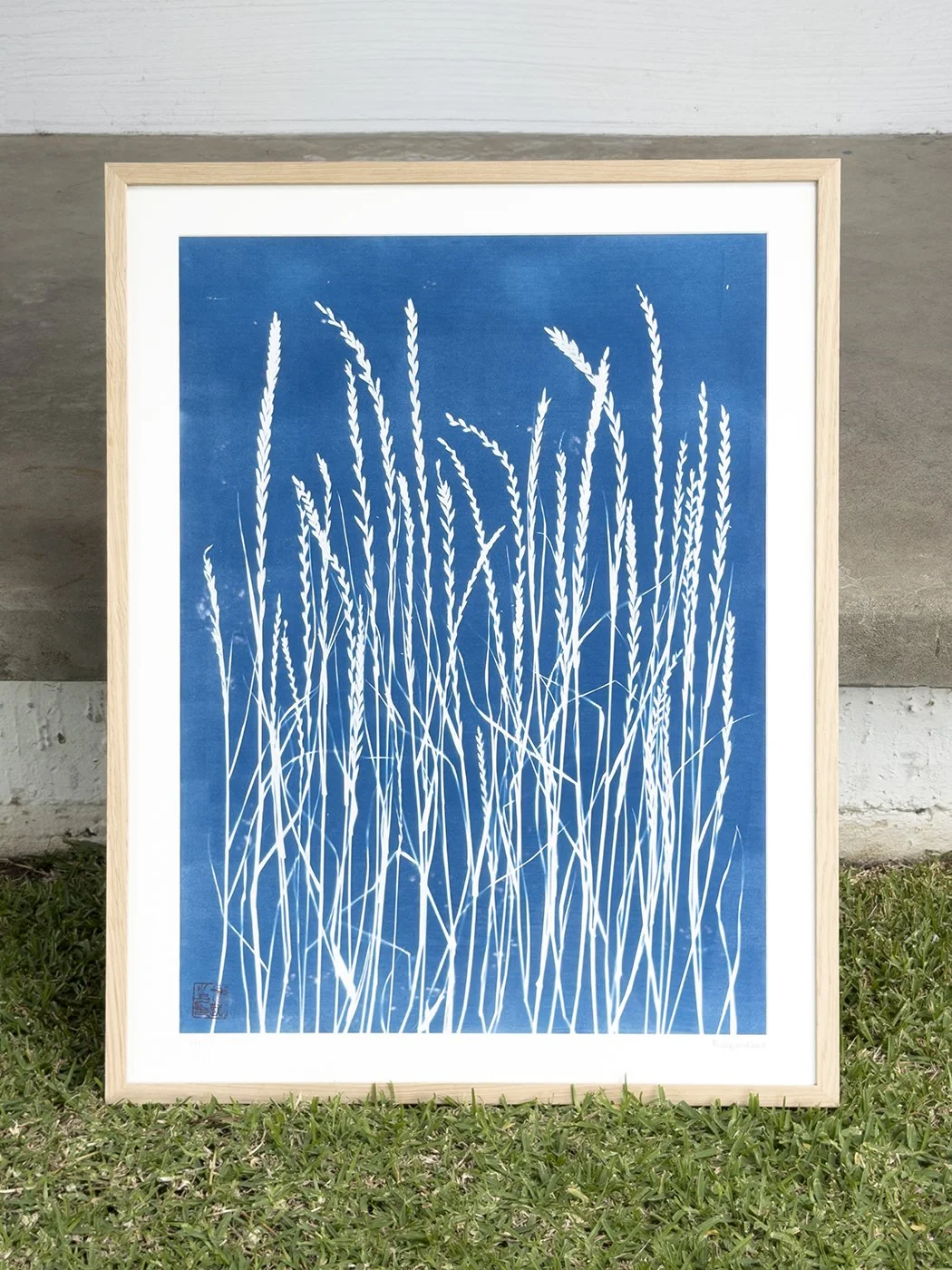 Motion - Framed shot front.jpg