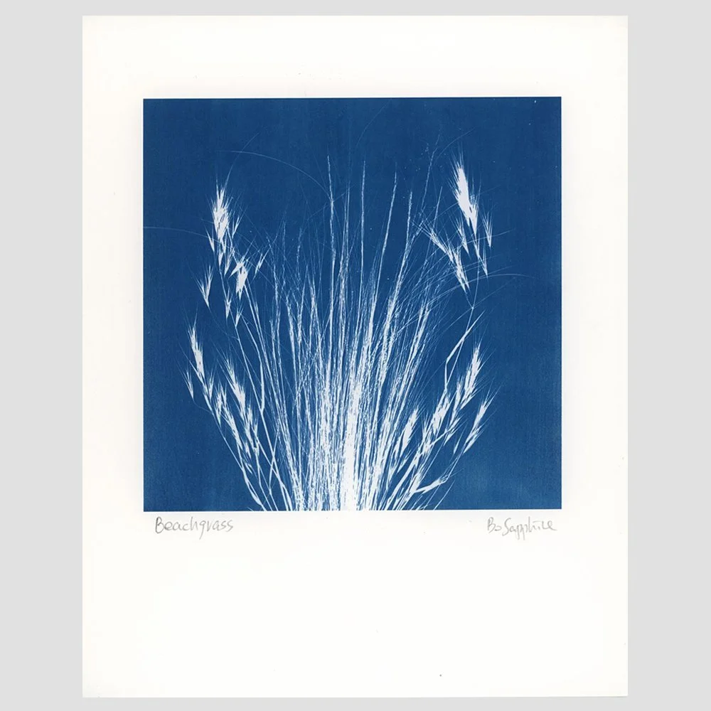 beachgrass.jpg