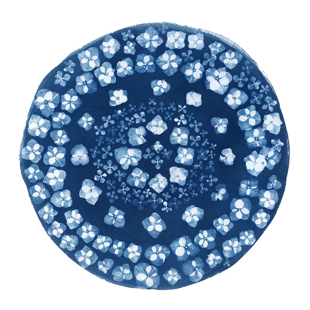 Mandala-Endless Possibilities 24''x24'' Web.jpg