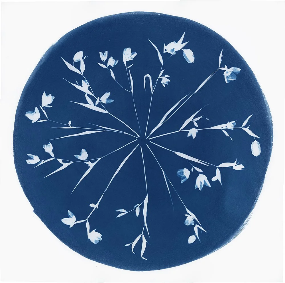 Trusting the Path web.jpg