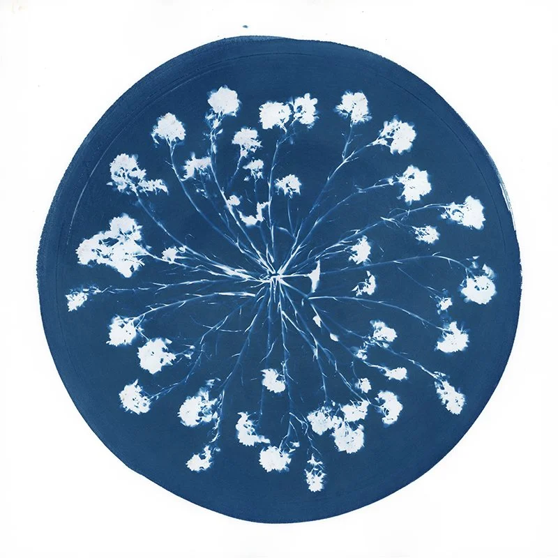 Mustard Ferris Wheel.jpg