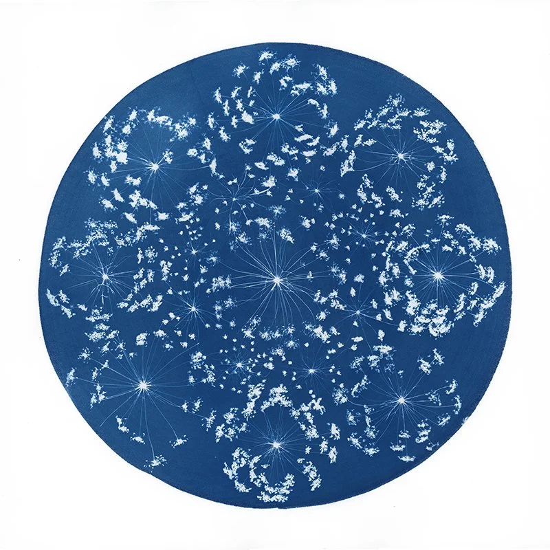 Star of the night.jpg