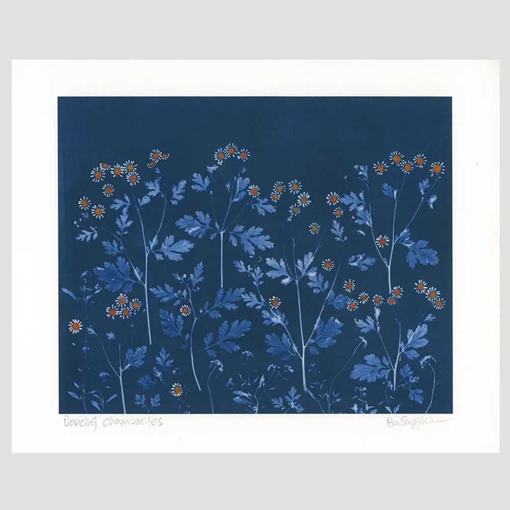 Dancing Chamomile Print