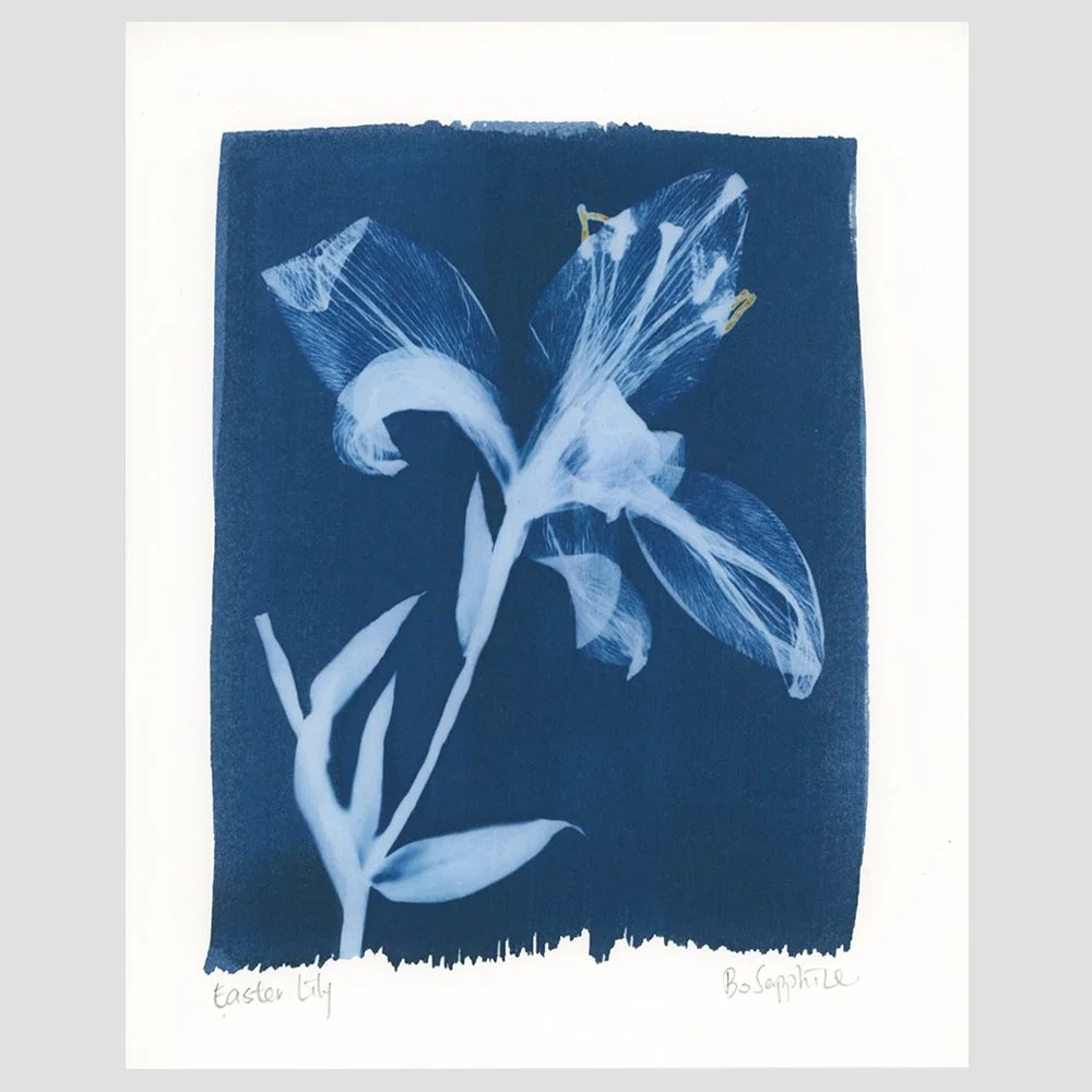 Easter Lily Print