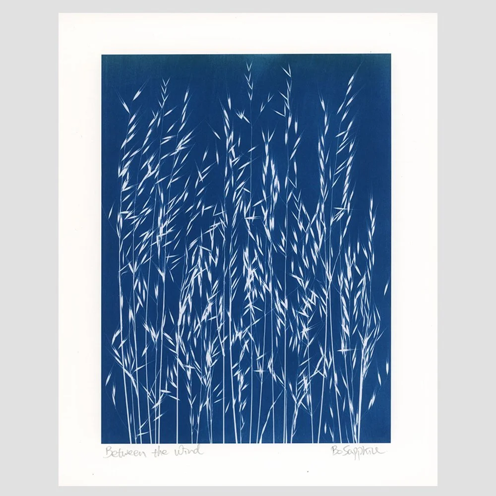 between the wind.jpg