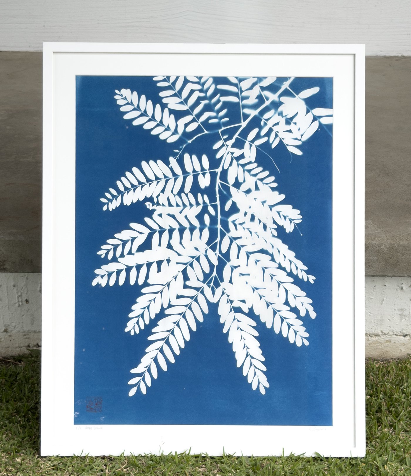 honey locust.jpg