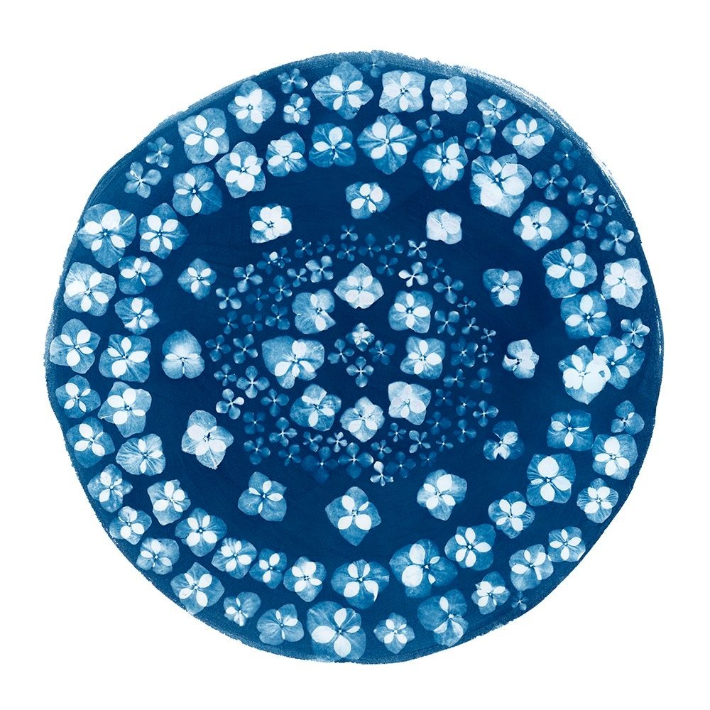 Mandala-Endless+Possibilities+24%27%27x24%27%27+Web.jpg