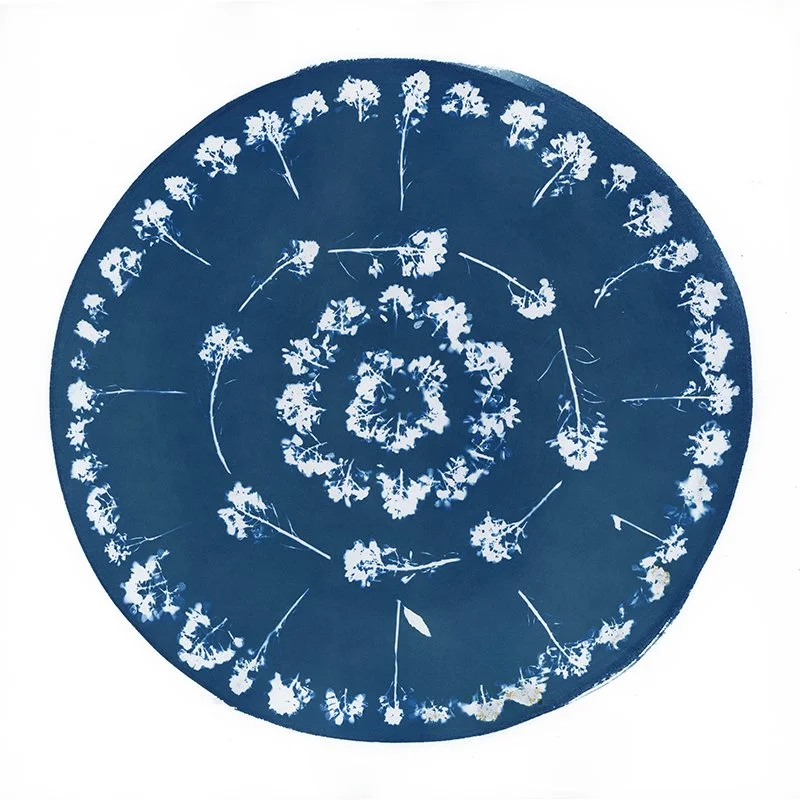 Holding the Moment.jpg