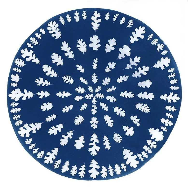 Slow becoming (oaks) web.jpg