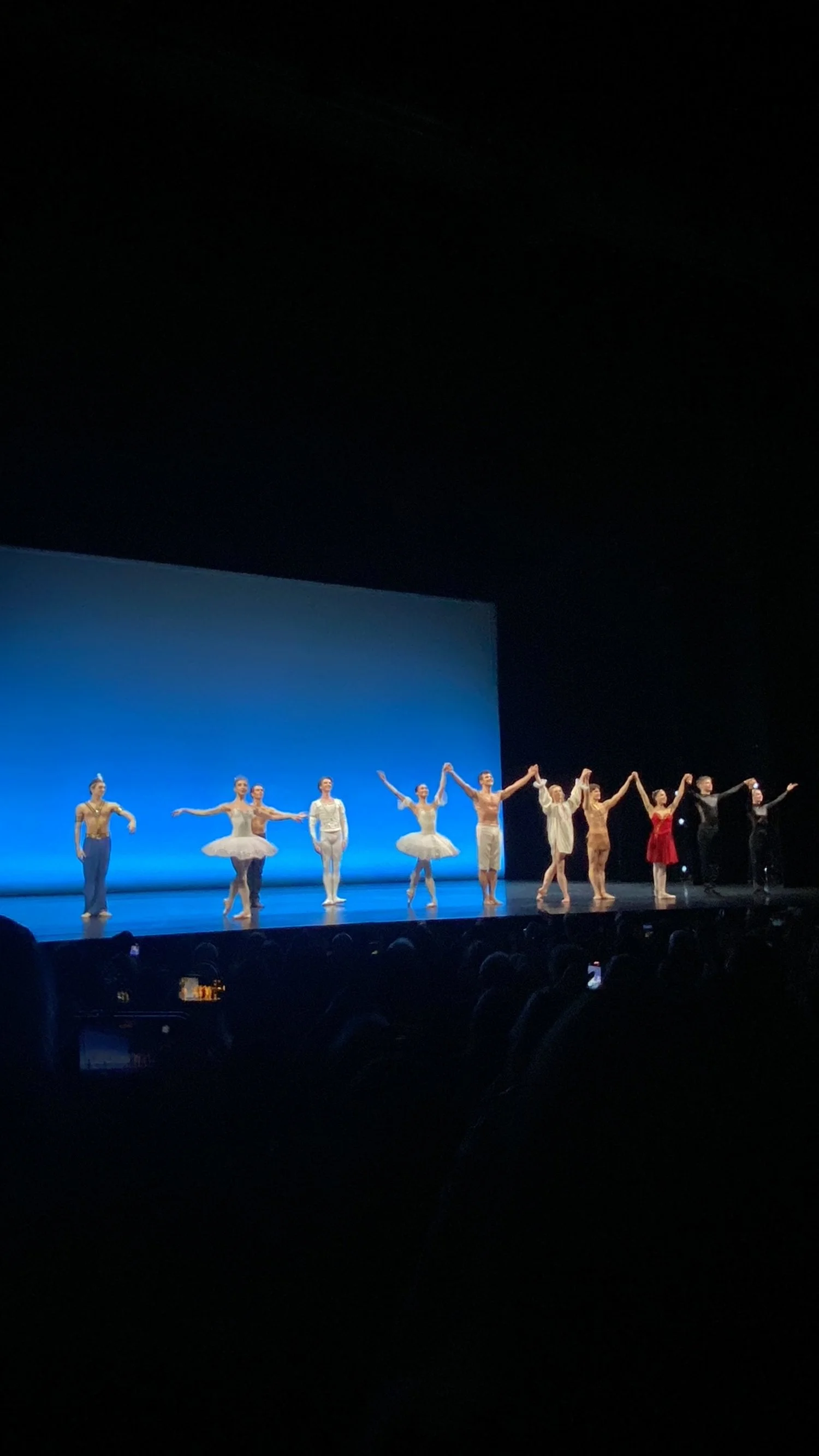 Roberto Bolle and Friends