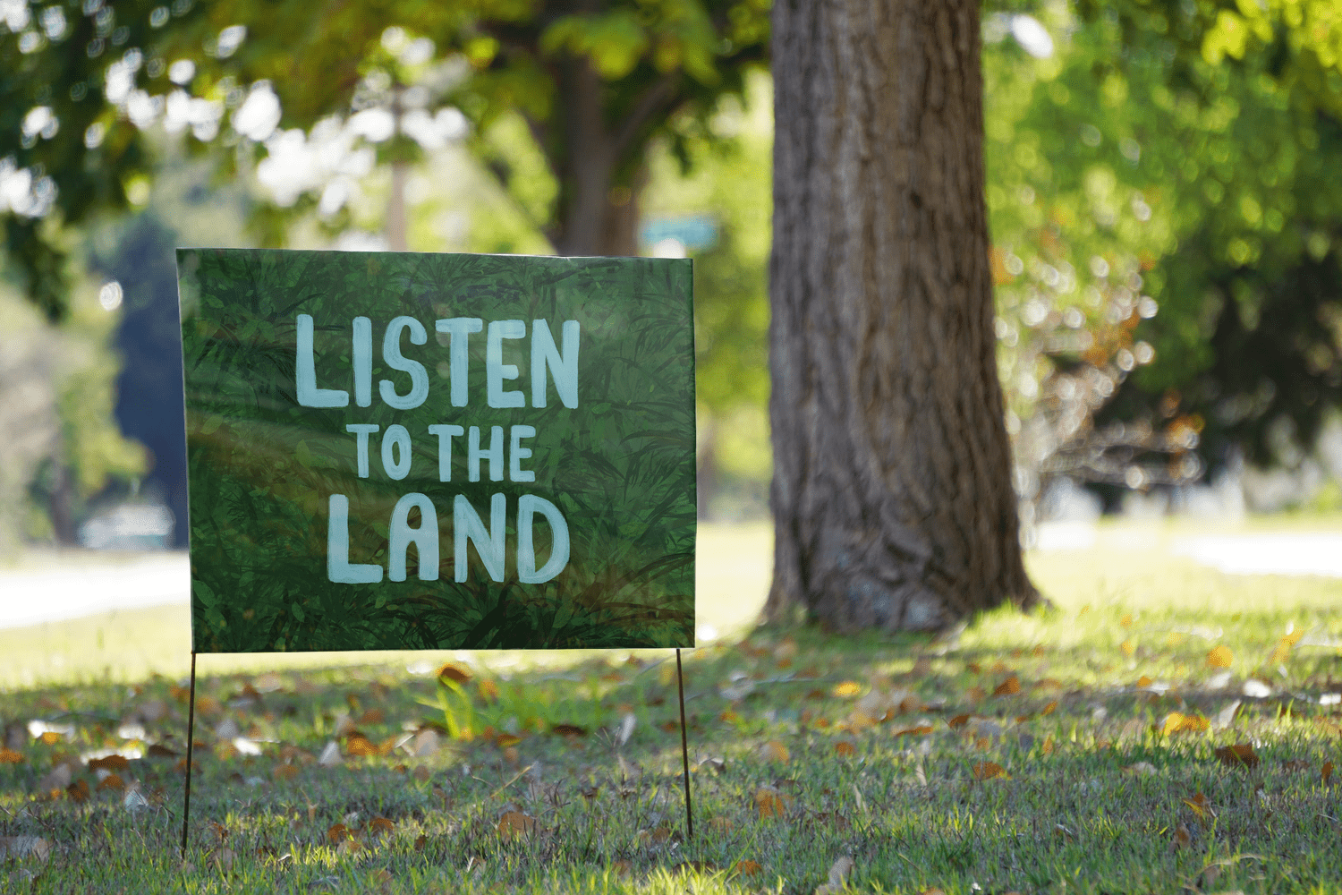indigenous sign — Hailey Marczak