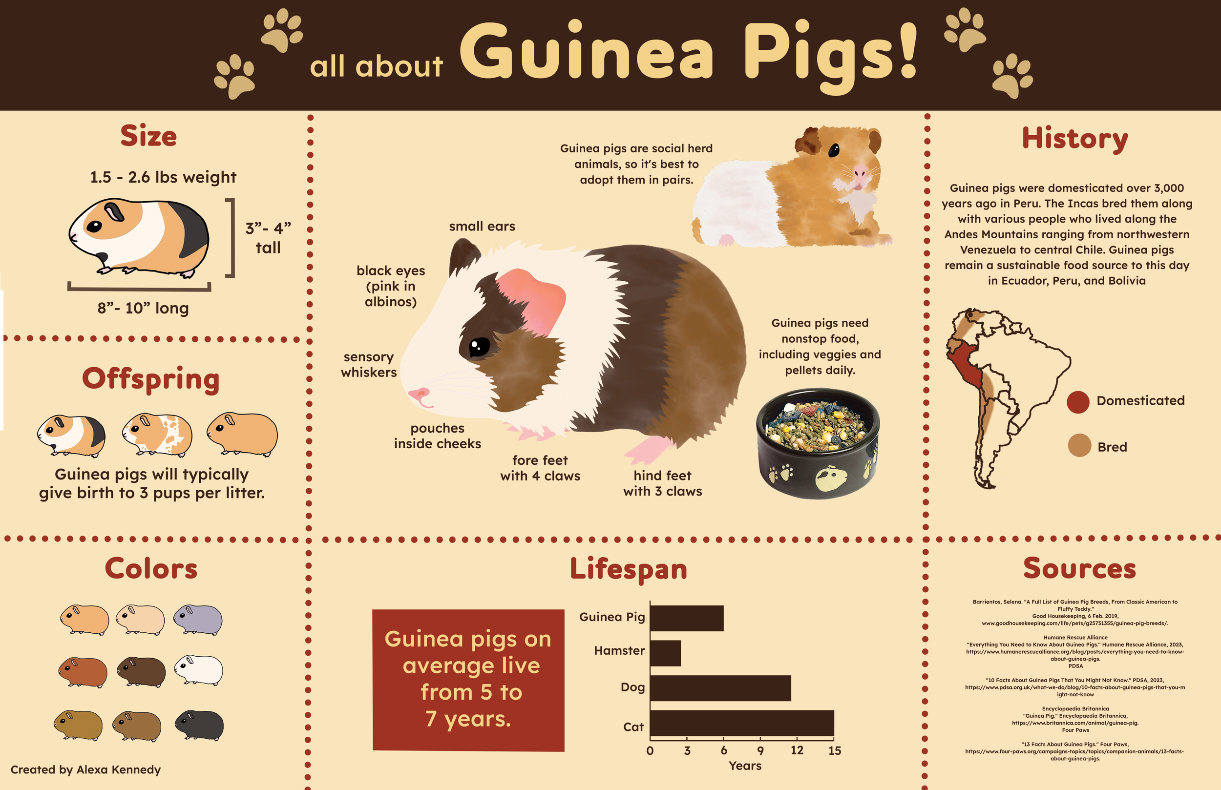Final Guinea Pig infographic.png