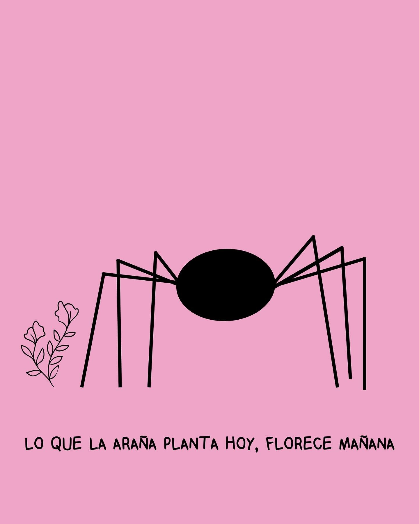 Made this Spider for Spanish class… Anyways give this Spider to your Spanish teacher for extra credit (they said so)
What Spider plants today, blooms tomorrow🌷