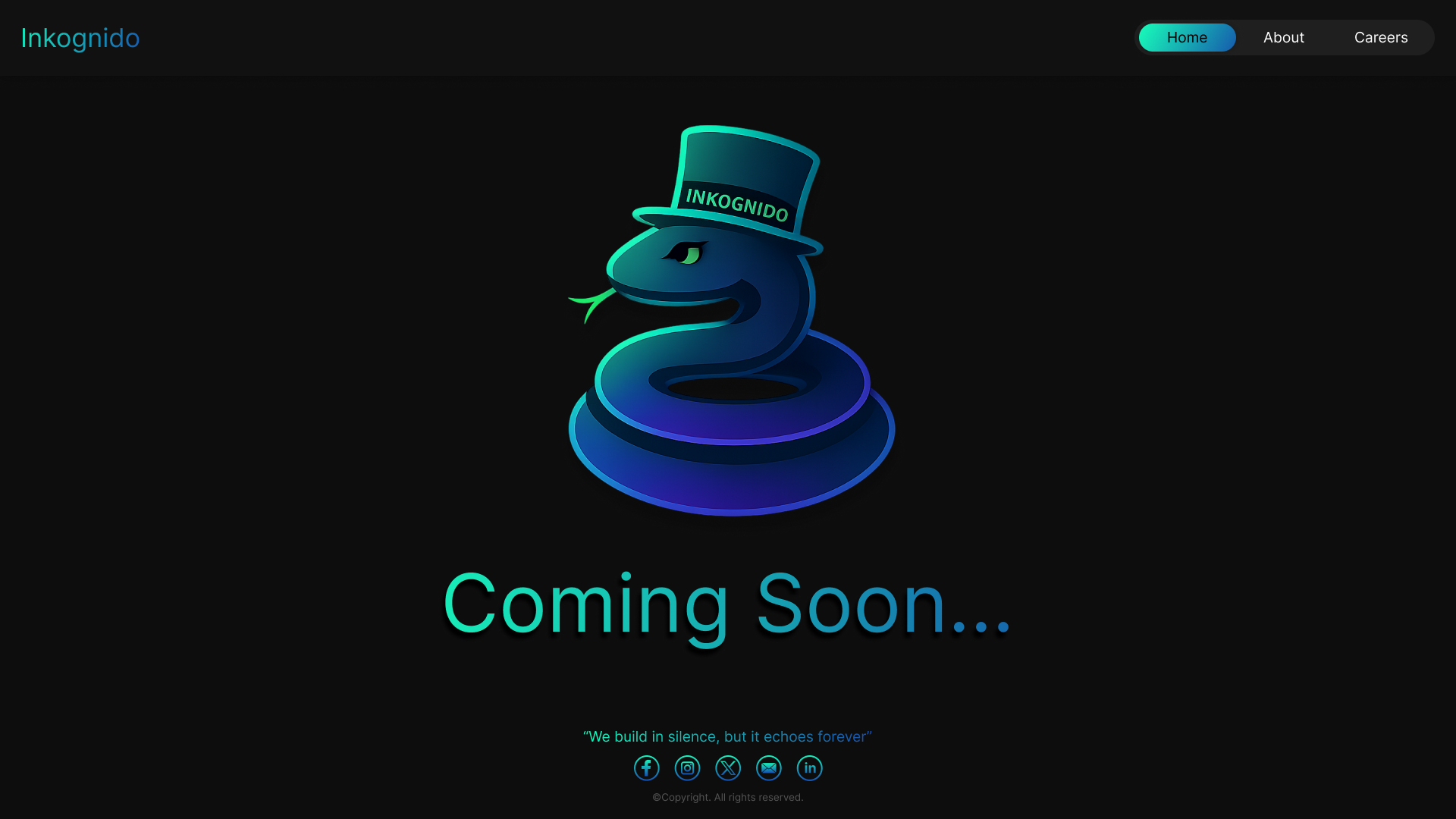 Company Website Launch Page