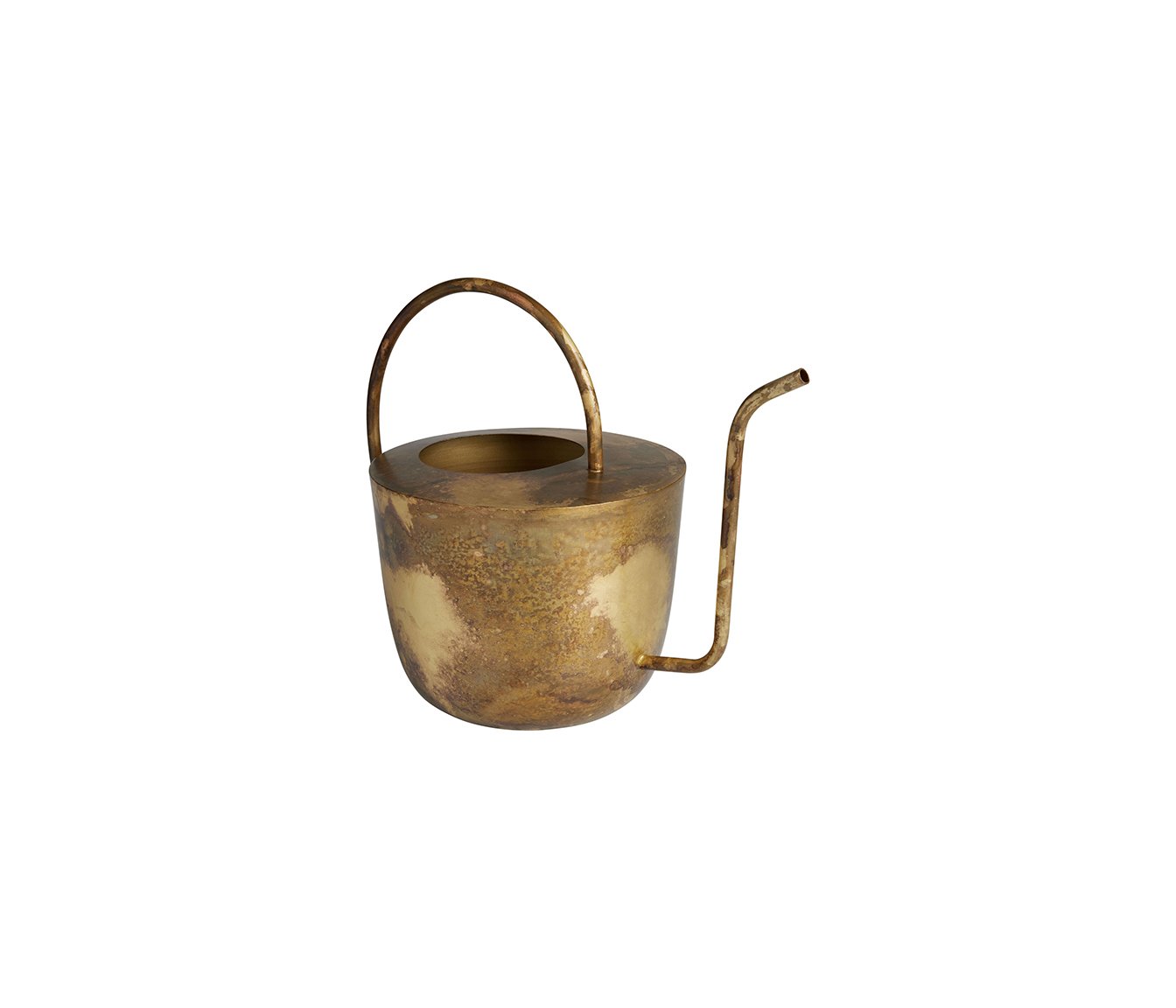 brushed gold watering can.jpg