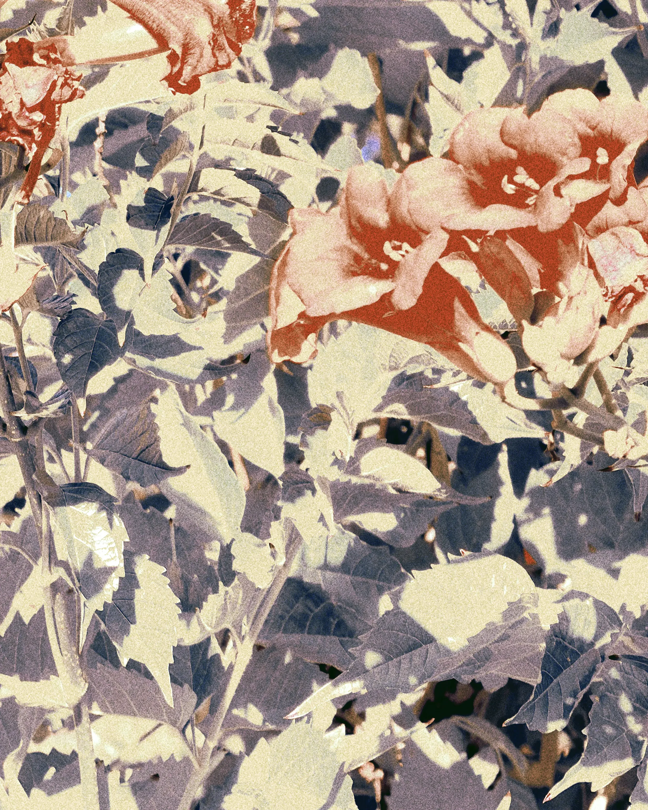 Botanical_001.webp