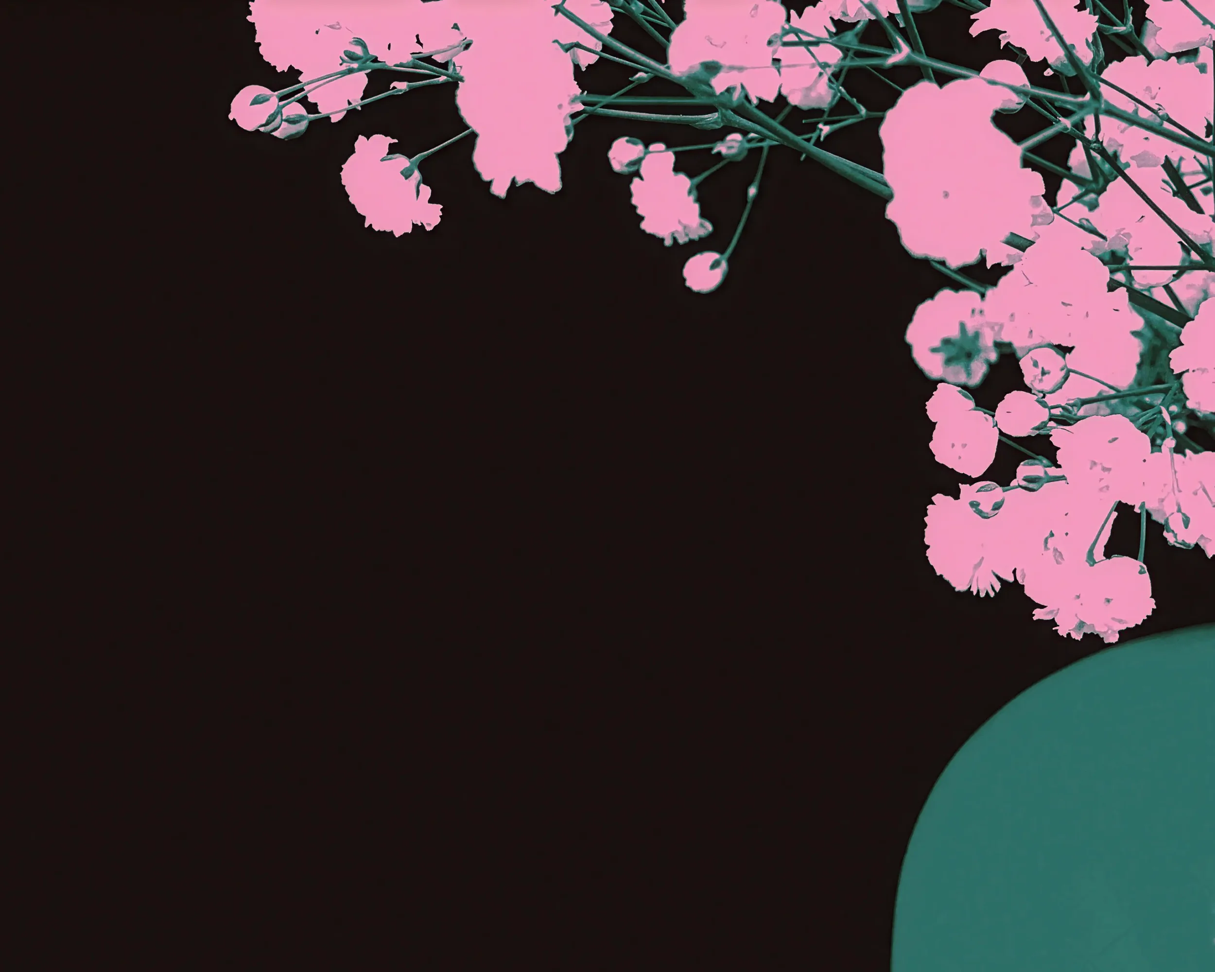 Flower_003.webp