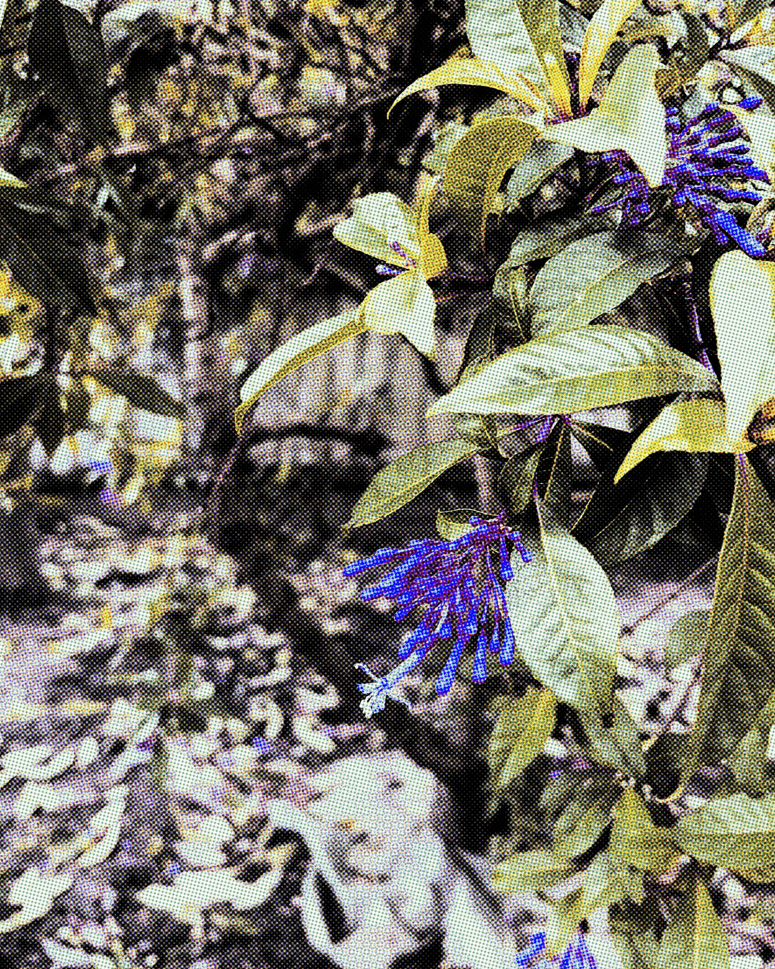 Flower_009.webp