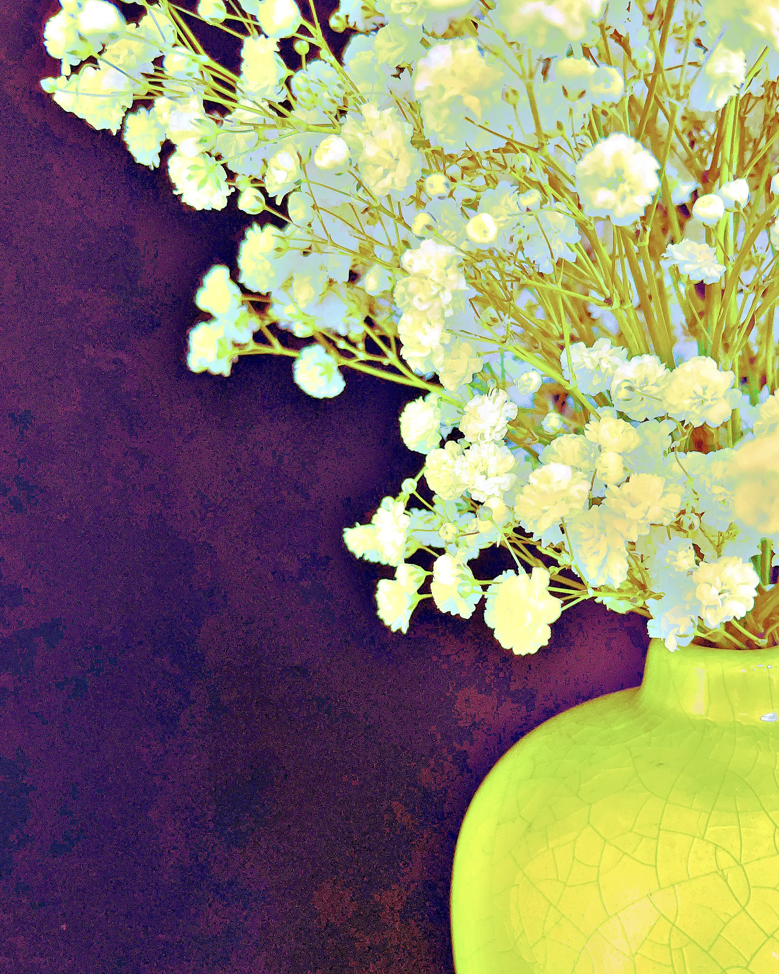 Flower_002.webp