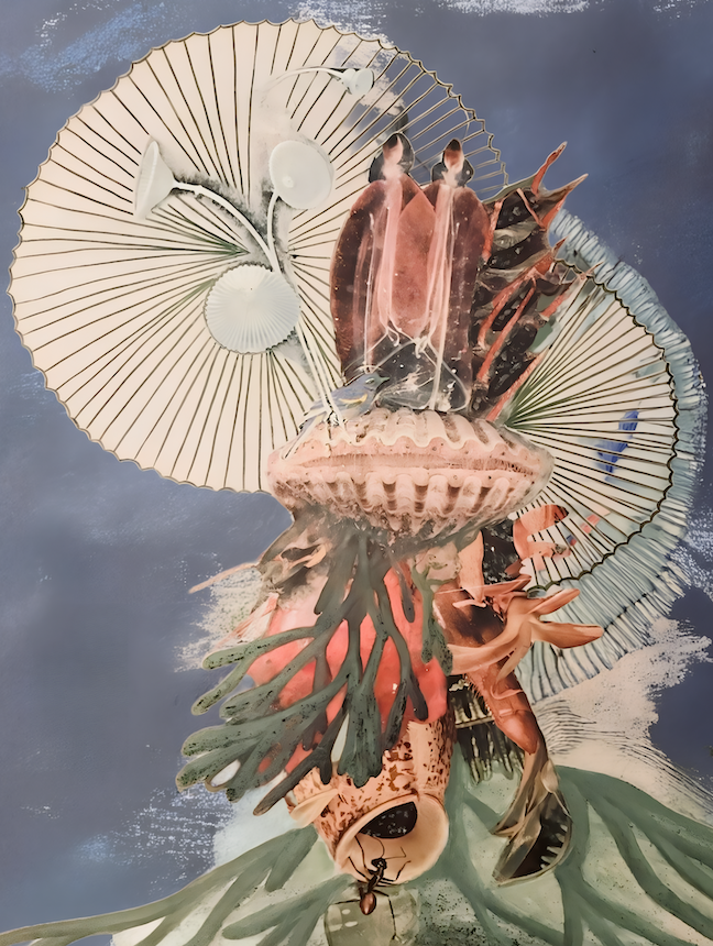 A surreal collage of plant leaves, seashells, and insects arranged vertically to form a human-like figure.
