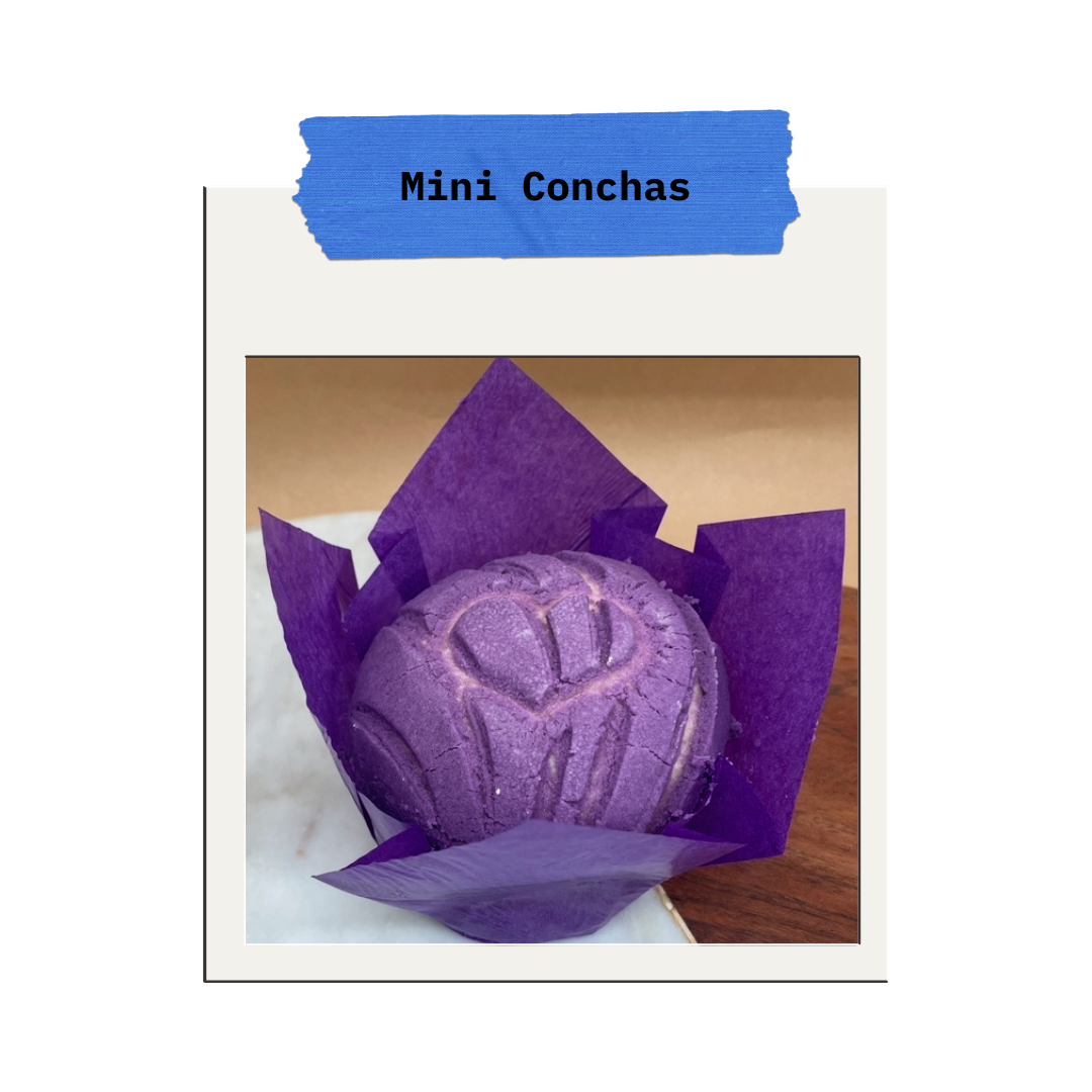 Mini Conchas Polaroid.png