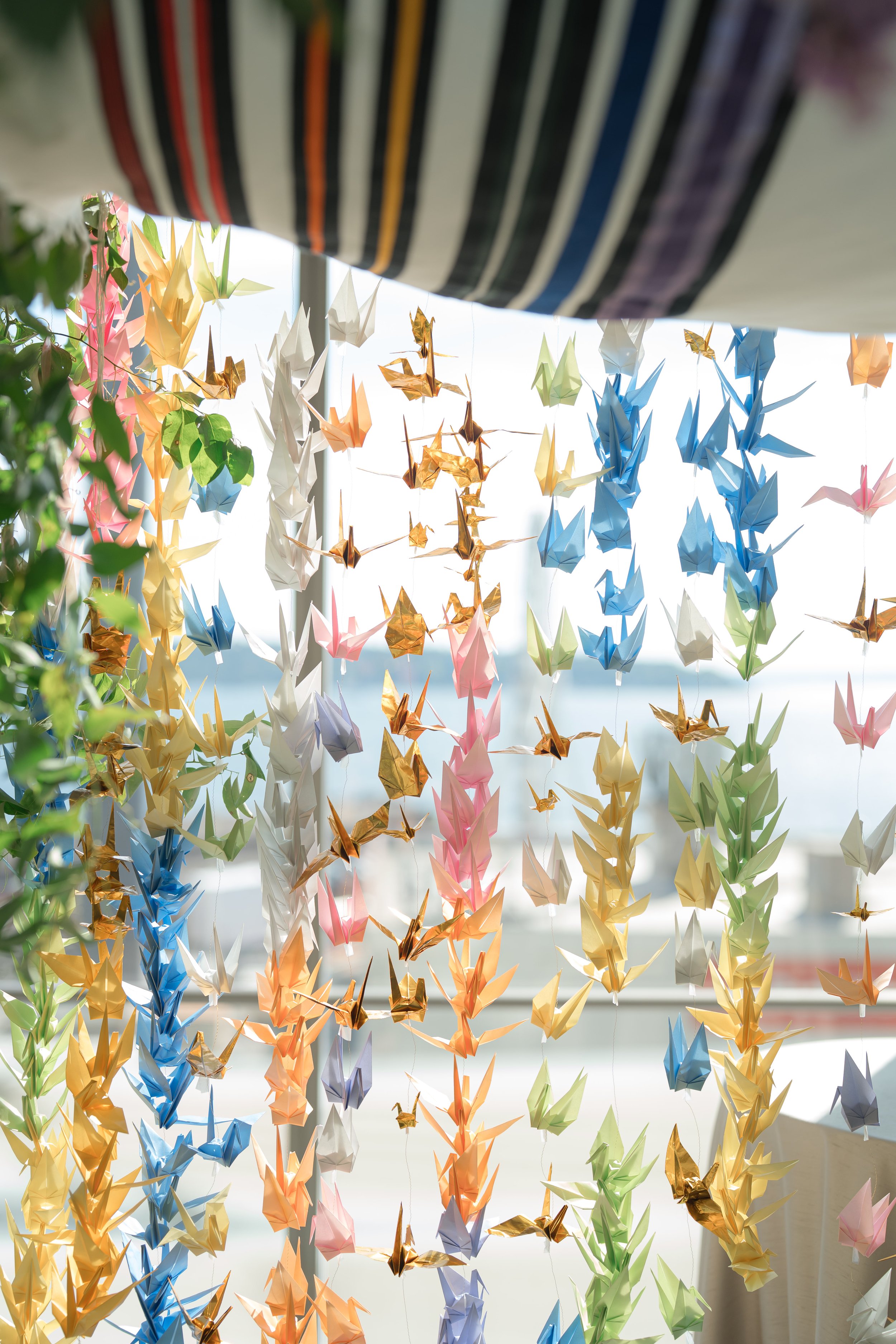 Steph & David_s Wedding Previews -49.jpg