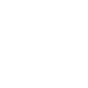 06-dancingwiththestars.png