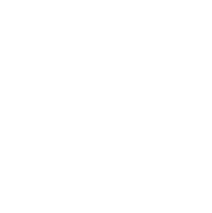 27-the_voice.png