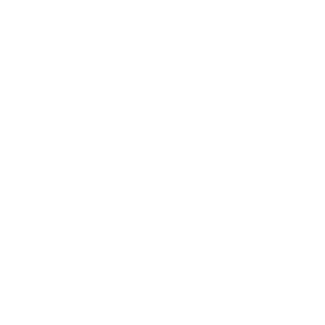 10-capital_one.png