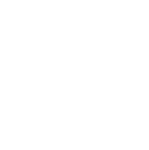 13-nhl.png