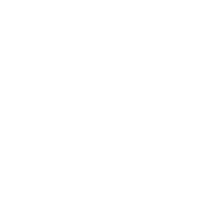 19-mtv.png